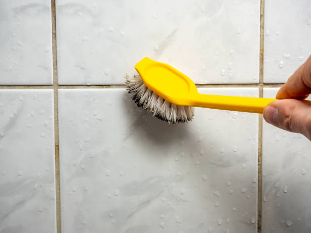 Best Attic Mold Removal  in Stateburg, SC