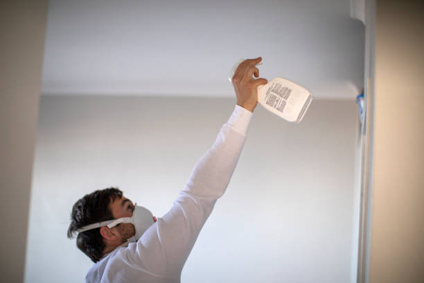Best Black Mold Removal  in Stateburg, SC