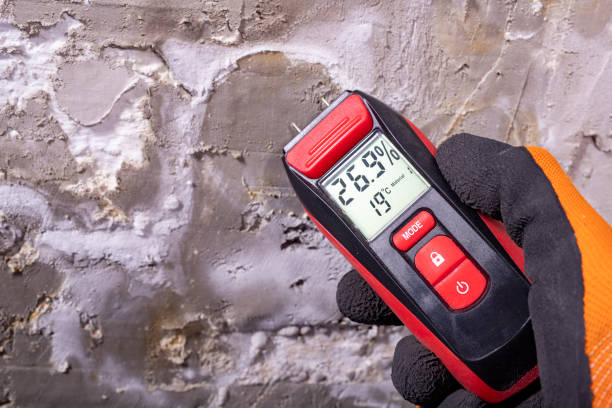 Home Mold Removal in Stateburg, SC